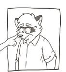  andy_(heyitscousindave) anthro clothed clothing eyewear fingers glasses heyitscousindave male mammal raccoon simple_background slightly_chubby solo standing tagme 