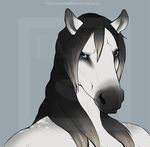  2011 anthro black_hair blue_background blue_eyes bust_portrait distracting_watermark equine front_view fur grey_fur hair horse looking_at_viewer male mammal multicolored_fur portrait simple_background solo ta-ek two_tone_fur url watermark white_fur 