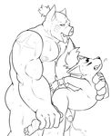  4_toes ahegao anal anal_penetration anthro barazoku barefoot biceps big_dom_small_sub black_and_white bracelet canine clenched_teeth cum cum_while_penetrated cumshot digital_media_(artwork) duo erection eroborus eyes_closed feet fluffy fluffy_tail fox from_behind_position hand_on_chest hands-free hi_res hindpaw humanoid_penis interspecies jewelry kitsune_(ero) larger_male lifted line_art looking_pleasured male mammal manly monochrome nipples nude orgasm paws pecs penetration penis pig plantigrade porcine questionable_consent scrunchy_face sex side_view simple_background size_difference smaller_male soles stand_and_carry_position standing straining sweat teeth toes tongue tongue_out white_background 