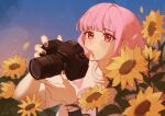  1girl alternate_costume black_nails blunt_bangs blush camera chestnut_mouth eyelashes field flower flower_field highres holding holding_camera hololive hololive_english looking_at_viewer mori_calliope pink_bracelet pink_hair red_eyes shai_owl shirt sunflower sunflower_field sunset virtual_youtuber white_shirt 