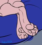 4_toes ambiguous_gender anthro canid canine canis colored digital_drawing_(artwork) digital_media_(artwork) feet hindpaw mammal pawpads paws selem997 simple_background solo toes unfinished