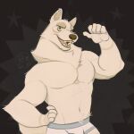 abs anthro barawerewolf barazoku belly big_(disambiguation) canid canine canis clothing domestic_dog furry koda_jd male mammal muscular muscular_anthro muscular_male panties smile solo underwear white_body wolf