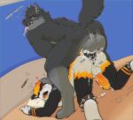 2023 aardwolf absurd_res anal anal_penetration angel_lazzu animal_genitalia animal_penis anklet anthro anthro_on_anthro anthro_penetrated anthro_penetrating anthro_penetrating_anthro anus artist_name ass_up athletic athletic_anthro athletic_male ball_size_difference balls bed big_balls big_penis black_body black_fur black_hair black_nose black_penis blush bodily_fluids bracelet butt canid canine canis claws cum cum_in_ass cum_inside cum_on_balls cum_on_butt cum_on_penis cum_on_sheets digital_media_(artwork) doggystyle dominant dominant_male drooling duo ear_piercing ear_ring edugta_(character) ejaculation english_text erection facial_markings facial_piercing feline_genitalia feline_penis from_behind_position fur furniture genital_fluids genitals gloves_(marking) green_eyes grey_balls hair hands-free head_markings hi_res humanoid_genitalia humanoid_penis hyena industrial_piercing jewelry leg_markings male male/male male_penetrated male_penetrating male_penetrating_male mammal markings muscular muscular_anthro muscular_male nude on_bed on_bottom on_top open_mouth open_smile orange_body orange_fur orange_hair orange_markings orange_penis orange_tongue penetration penile penile_penetration penis penis_size_difference piercing pillow pink_tongue purple_eyes raised_tail ring_piercing saliva sex signature simple_background small_balls smile socks_(marking) spiked_bracelet spikes submissive submissive_male tail teeth text tongue tongue_out trail white_body white_fur wolf yuhi_solar(raishin_oc)