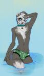 absurd_res anthro belly bulge chest_(disambiguation) clothing colla demicoeur domestic_ferret emil_tamilder hi_res male male/male mammal mustelid musteline pose reward sketch solo tail true_musteline underwear water weasel