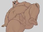  anthro balls bear big_muscles blush butt erection grey_background looking_at_viewer male mammal muscular nude oak orchish_(pixiv) overweight penis simple_background solo 