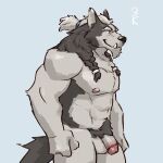 3000vnd anthro balls braided_hair cadgan canid canine canis circumcised devil&#039;s_gambit fangs fur genitals grey_body grey_fur hair hi_res male mammal mane multicolored_body multicolored_fur muscular muscular_male nipples penis pubes solo teeth tuft two_tone_body two_tone_fur wolf