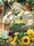  1boy absurdres animal_ears bara bear_boy bear_ears belly bulge feet_out_of_frame florist furry furry_male green_overalls hat highres icelernd key large_pectorals looking_at_viewer male_focus muscular muscular_male nipples original pectorals plump sanpaku short_hair solo standing sun_hat thick_eyebrows tool_belt white_fur 