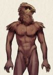 2017 4_fingers abs accipitrid accipitriform anthro avian balls beak bird brown_body brown_feathers chubby-shark claws crotch_tuft digital_media_(artwork) feathers fingers flaccid front_view genitals male muscular muscular_anthro muscular_male navel nipples nude pecs penis portrait simple_background solo standing three-quarter_portrait tuft white_background yellow_sclera