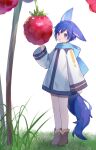  1boy :o animal_ears ankle_boots arm_at_side berry blue_eyes blue_hair blue_scarf blush boots brown_footwear coat coat_dress day ear_down fox_boy fox_ears fox_tail grass hand_up highres kaito_(vocaloid) kemonomimi_mode legs_together long_sleeves looking_ahead male_focus mini_person miniboy mogu_(wy5xrt7w) nature scarf short_hair solo standing tail vocaloid white_background white_coat wide_sleeves 