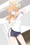  1girl alternate_costume animal_ears blue_archive blue_eyes blurry blurry_background blush breasts cat_ears dancing flower gym_uniform hair_between_eyes hair_flower hair_ornament halo highres hoshino_ouka long_hair mari_(blue_archive) orange_hair shorts small_breasts solo sweat 