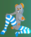 anthro areola balls blue_clothing blue_legwear blue_thigh_highs breasts buckteeth cheek_tuft chinchilla chinchillid clothing facial_tuft fur genitals glans grey_body grey_fur gusta gusty_(gusta) hair herm hi_res intersex legwear legwear_only mammal mostly_nude nipples orange_areola orange_eyes orange_glans orange_nipples orange_pussy orange_stripes penis pussy rodent solo stripes tail teeth thigh_highs thigh_highs_only tuft