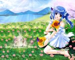  butterfly flowers nishimata_aoi spring tagme 