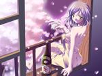  alcohol artist_request ass back balcony cherry_blossoms crossed_legs green_eyes impossible_towel komorebi_no_namikimichi looking_back naked_towel night official_art petals sake sitting solo towel yukizakura_ibuki 