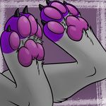  2016 barefoot canine claws feet foot_focus fox fur hindpaw mammal paws pink_paws purple_fur 