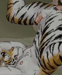  2016 anal anal_penetration animated anthro balls bed censored circumcised cum cum_in_ass cum_inside cum_on_chest cum_on_face cum_on_self cumshot duo erection eyes_closed feline fur human humanoid_penis inside low_res lying male male/male mammal milkext nipples on_back orange_fur orgasm penetration penis piledriver_position pubes sex solo_focus spread_legs spreading sweetener tiger white_fur 