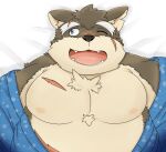 anthro asian_clothing belly canid canine canis clothing domestic_dog east_asian_clothing eyebrows facial_scar fur grey_body grey_fur hi_res japanese_clothing kimono lifewonders male mammal moritaka_(tas) musclegut muscular nipples pecs peto3001 scar solo thick_eyebrows tokyo_afterschool_summoners