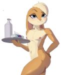 5_fingers andromorph anthro blonde_hair blue_eyes crossgender female female/female femboy fingers hair hi_res intersex lagomorph leporid lola_bunny looney_tunes lube mammal nude rabbit snachsugar solo tissue waiter warner_brothers