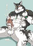 abs anthro balls black_and_white_fur blush bodily_fluids bottomless canid canine canis clothed clothing cum domestic_dog erection genital_fluids genitals green_eyes hi_res husky ioenami88 lifewonders live_a_hero male mammal masturbation monomasa muscular muscular_anthro muscular_male nipples nordic_sled_dog orgasm pecs penis red_sclera shirt solo spitz tank_top topwear