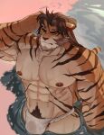  1boy abs absurdres adkt animal_ears arknights bara brown_hair bulge commentary facial_hair fundoshi furry furry_male goatee hand_in_own_hair highres huai_tianpei_(arknights) in_water japanese_clothes looking_at_viewer looking_up male_focus male_underwear nipples one_eye_closed pectorals pubic_hair shallow_water symbol-only_commentary tail tiger_boy tiger_ears tiger_stripes tiger_tail topless_male underwear wading water wet wet_clothes wet_male_underwear yellow_eyes 