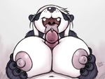  2016 anthro bear big_breasts breasts drxii female male mammal nipples nude panda pandaren penis simple_background video_games warcraft 