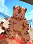  anal beach blue_eyes blush cub cum cum_on_stomach darkmagic erection feline mammal nintendo nipples obese overweight partially_retracted_foreskin penis pok&eacute;mon seaside tiger tongue tongue_out uncut video_games young zangoose 