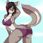  2016 anthro bikini black_hair black_nose blush bra breasts brown_fur butt canine cleavage clothed clothing cloud day female fur green_eyes hair hi_res long_hair looking_at_viewer mammal multicolored_hair nipple_bulge outside purple_hair raised_tail skimpy sky sm0shy smile solo swimsuit teeth two_tone_hair underwear white_fur 