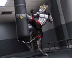  abs action_pose anthro blue_eyes clothed clothing dream_and_nightmare exercise fish heavy_bag kick kickboxing male marine mixed_martial_arts muscular pecs shark shorts skye_(shark7) solo spread_legs spreading sweat training 