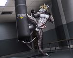  abs action_pose anthro balls blue_eyes dream_and_nightmare exercise fish heavy_bag kick kickboxing male marine mixed_martial_arts multi_penis muscular nude pecs penis shark skye_(shark7) solo spread_legs spreading sweat training 