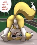  anthro anus ass_up butt chibi digimon digimon_(species) female furball hybrid impmon looking_at_viewer nude outside plump_labia public pussy pussy_juice renamon renimpmon solo tongue tongue_out 