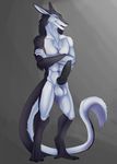  2016 animal_genitalia animal_penis anthro balls big_balls big_penis black_fur canine_penis chest_tuft claws digital_media_(artwork) digitigrade erection fur homogenousrule knot long_ears long_tail male mammal nude penis pinup pose riku_tavash sergal silver_eyes simple_background smile solo teeth tuft white_fur 