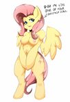  anthro areola breasts cutie_mark english_text equine female fluttershy_(mlp) friendship_is_magic fur hair half-closed_eyes looking_at_viewer mammal my_little_pony nipples open_mouth pegasus pink_hair simple_background solo standing text thetroon tongue white_background wide_hips wings yellow_fur 
