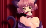  animal_ears carnelian catgirl tagme 