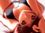  artist_request bikini blurry breasts brown_eyes brown_hair cleavage depth_of_field large_breasts original perspective solo swimsuit 