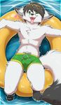  &lt;3 armpits black_hair bulge canine fox fur green_eyes hair male mammal open_mouth solo swim_shorts swimming tongue tongue_out water white_fur yuniwolfsky 