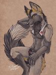  2016 animal_genitalia canine fox fur grey_fur looking_at_viewer male mammal nude penis penis_tip seductive sheath silentravyn solo 