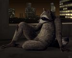  2016 animal_genitalia city emptyset fluffy male mammal night raccoon realistic reven_(character) sheath solo 