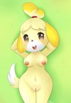  animal_crossing breasts brown_eyes canine dog grass isabelle_(animal_crossing) lying mammal nintendo nipples nirvanilla on_back pussy video_games wide_hips 