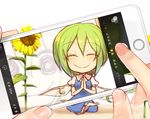  @_@ blue_dress cellphone closed_eyes commentary_request crazy_eyes daiyousei dress fairy_wings female_pov fingers flower green_hair kuresento lotus_position phone pov reflection side_ponytail sitting smartphone smile sunflower taking_picture touhou when_you_see_it wings 