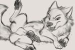  2016 absurd_res anatomically_correct animal_genitalia animal_penis balls black_and_white black_penis canine canine_penis carrot_(artist) chow_chow cum digital_media_(artwork) dog erection hi_res knot knotted_cock male mammal monochrome nephadius_stratus open_mouth pawpads paws penis pointy_ears precum presenting sketch solo tagme tongue tongue_out wolf 