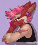  anthro canine clothed clothing ear_piercing facial_piercing female half-closed_eyes lip_piercing malware mammal piercing simple_background solo 
