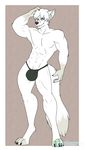  abs anthro armpits bulge canine clothing fur hair looking_at_viewer male malware mammal mostly_nude muscular navel simple_background smile solo standing teeth underwear white_fur white_hair 