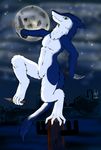  2016 anthro balance city clean_nude cloud dark fur herseio jedader knife male mammal melee_weapon moon moonligth night sergal simple_background smile solo weapon 