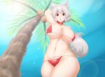  animal_ears arm_up armpits bare_shoulders bikini blue_sky blush breasts collar curvy day eyebrows highres inubashiri_momiji large_breasts looking_at_viewer navel open_mouth palm_tree red_eyes short_hair silver_hair sky solo swimsuit tail thick_eyebrows thighs tochinoko touhou tree wolf_ears wolf_tail 