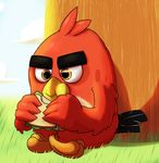  angry_birds avian glomiagui red_(angry_birds) video_games 