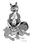  1993 anthro canine doug_winger female fox lagomorph male male/female mammal rabbit sex_from_behind 