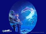  celestial_exploring dolphin kagaya tagme 