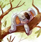  gen_7_pokemon in_tree kayveedee komala leaf lying no_humans number on_stomach open_mouth pokemon pokemon_(creature) saliva sleeping tree tree_branch 