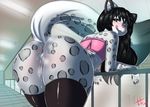  2015 2016 anthro backsack balls bent_over big_butt black_hair blush bottomless butt butt_shot clothed clothing crop_top cum cum_in_ass cum_inside cum_on_balls cum_on_butt english_text fabianoferreira feline fur grey_fur hair inside legwear leopard looking_at_viewer looking_back male mammal one_eye_closed pink_nose raised_tail rear_view shirt signature snow_leopard solo spots text thick_thighs tongue tongue_out wide_hips wink yellow_eyes 