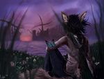  2016 anthro arthropod braided_hair butterfly canine clothed clothing cloud coyote dave_(ash) detailed detailed_background digital_media_(artwork) evening flower fluffy fluffy_tail fur grass hair horizon insect male mammal nature outside plant sea sitting sky solo sun volpe water 