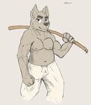  barazoku belly canine clothed clothing mammal muscular oddchurch pecs topless wolf 